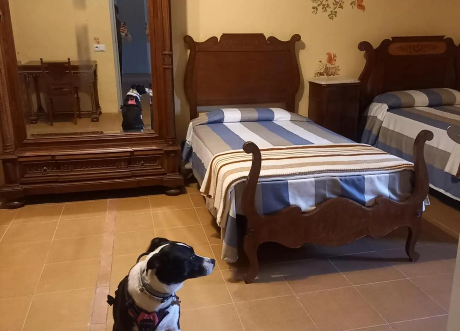 Hostal Rural Mas Blanc San Martín de Centellas